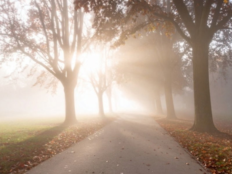 Mourning Transitions 302 Support Group