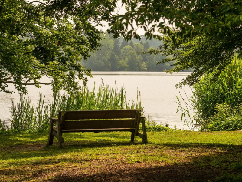 Spousal Loss 301 Support Group